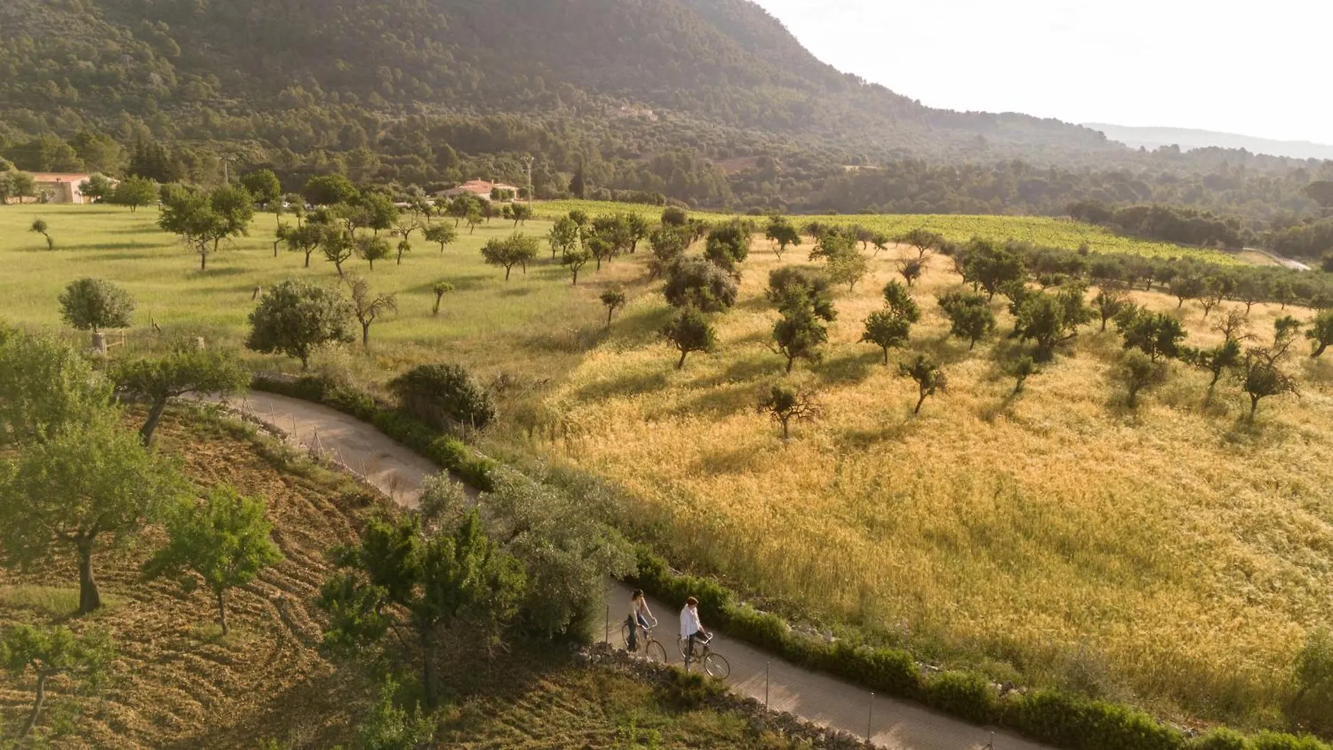 Ca'N Beneit Hotel Binibona
