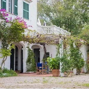 https://sa-pedrera-de-binicalsitx.balearic-islands.net